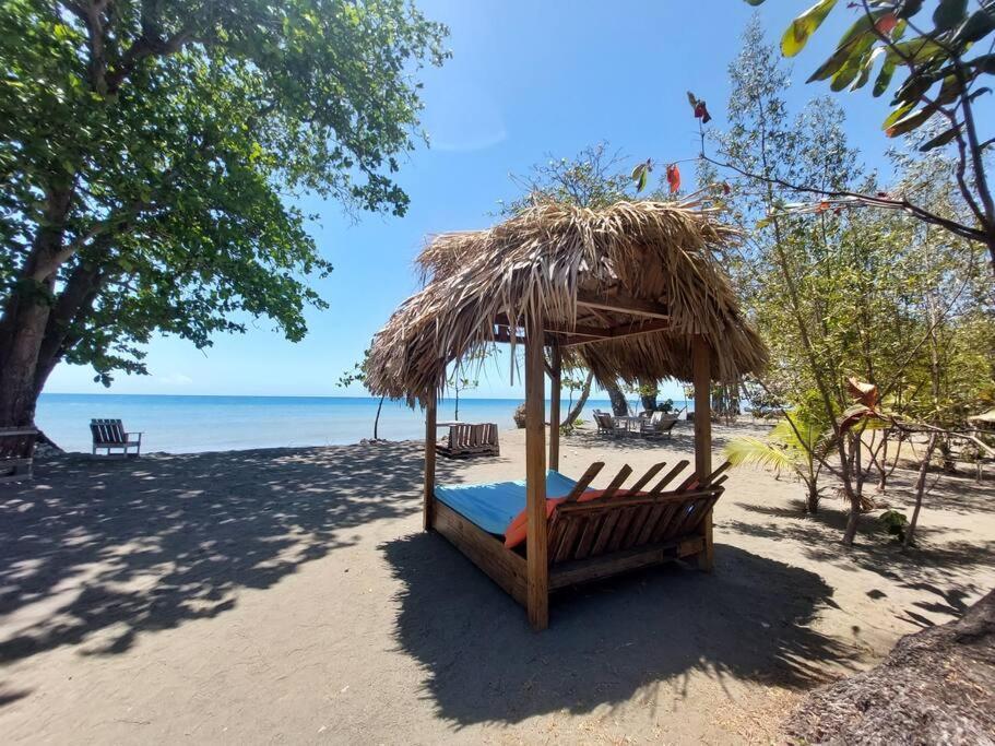Palenque Apartamento En Playa Coconut @Drvacationsrental מראה חיצוני תמונה